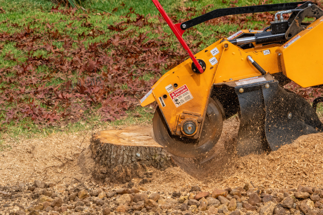 Stump removal in Arcadia, CA